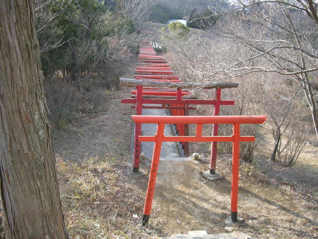 1年ぶり、やってきました三草アルプス（大坂山）_b0185573_13473456.jpg