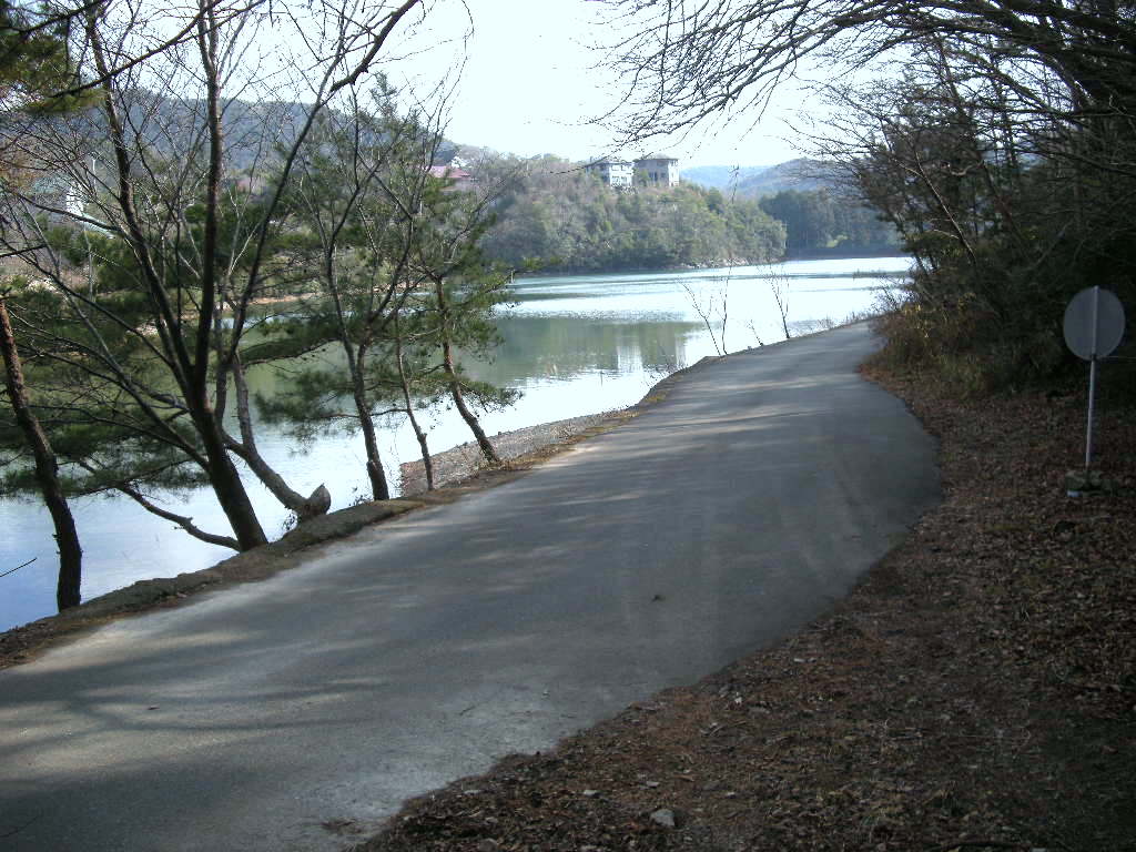 b0185573_8492792.jpg