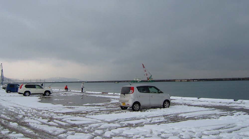 釣り情報!_e0065084_12584021.jpg