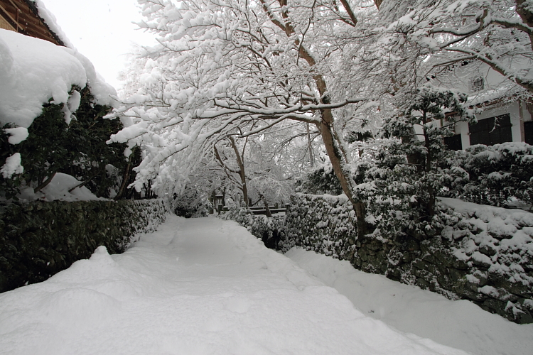 雪の宝泉院_e0051888_20533077.jpg