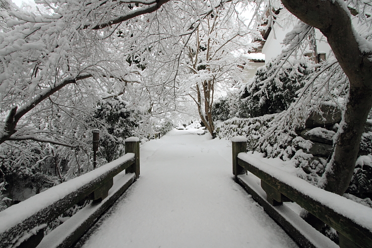 雪の宝泉院_e0051888_20551385.jpg