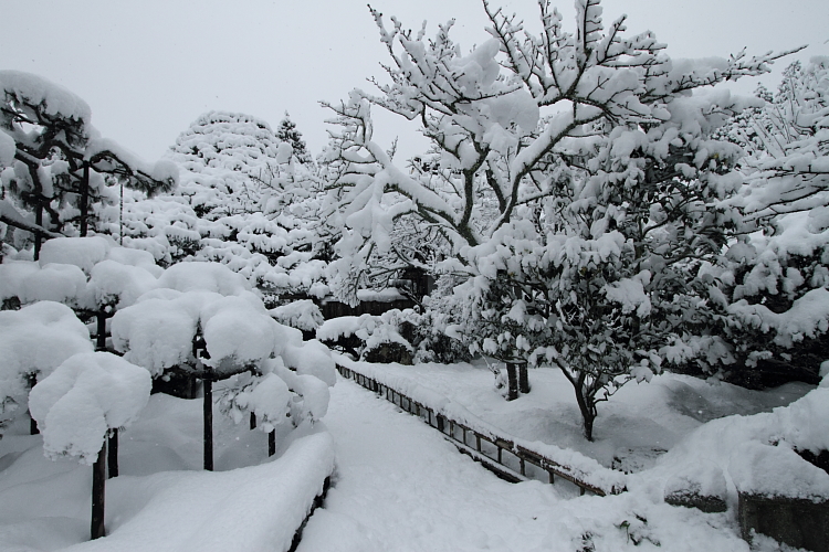 雪の宝泉院_e0051888_20565429.jpg