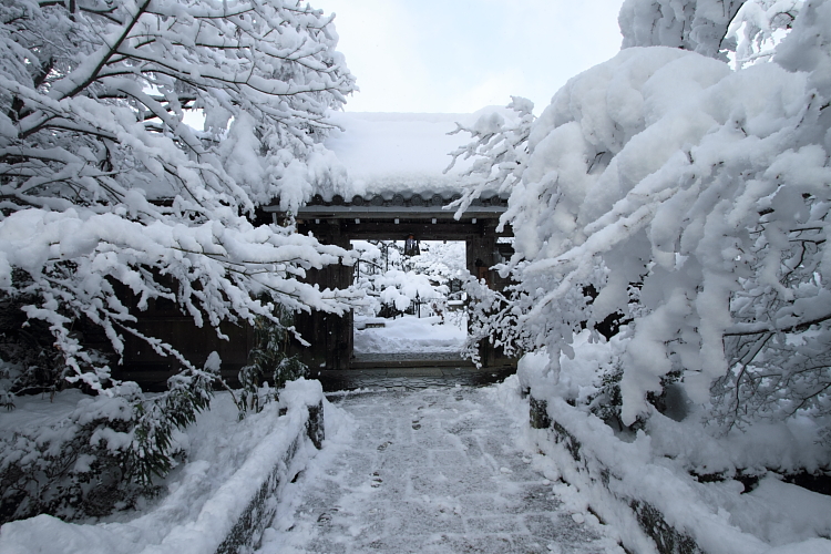 雪の宝泉院_e0051888_2056777.jpg