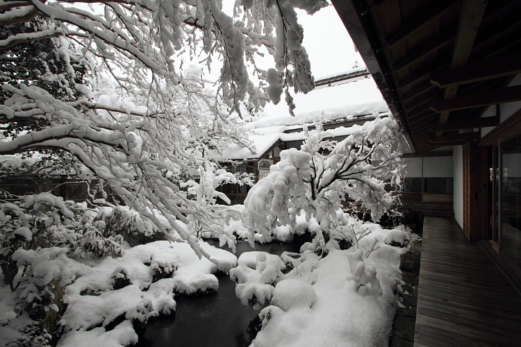 雪の宝泉院_e0051888_20573925.jpg