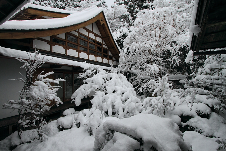 雪の宝泉院_e0051888_20575495.jpg