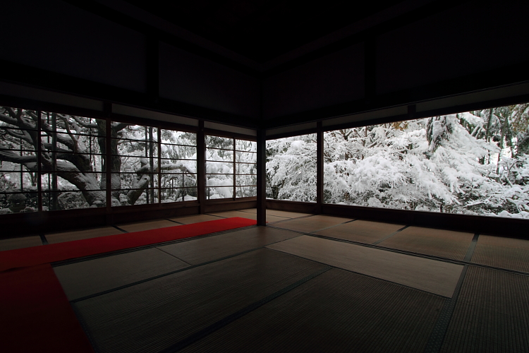 雪の宝泉院_e0051888_2059188.jpg