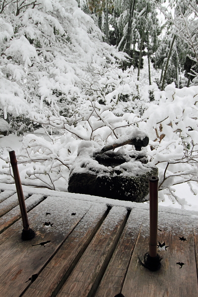 雪の宝泉院_e0051888_2101088.jpg
