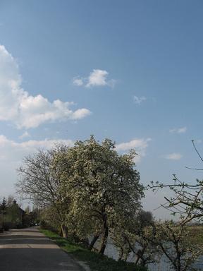 d0175589_533311.jpg