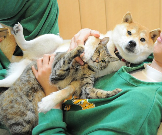 赤くてちっちゃいもの、何だ?_a0126590_5294012.jpg