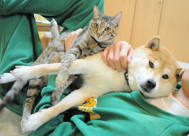 赤くてちっちゃいもの、何だ?_a0126590_533257.jpg