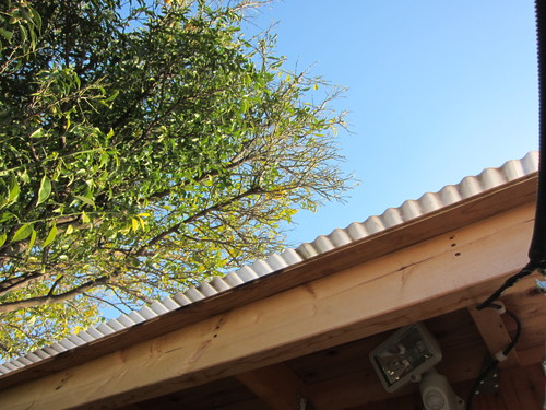 波板_b0200291_17584949.jpg