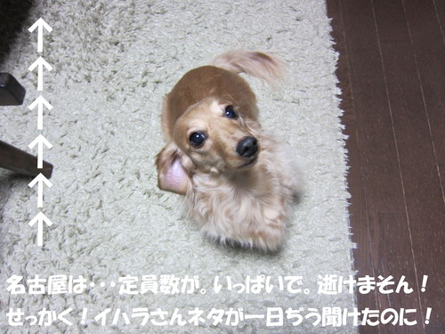 波板_b0200291_18595186.jpg