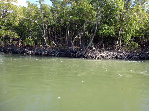 c0090198_4492042.jpg