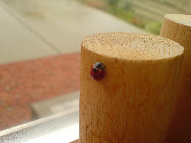 c0128199_1782415.jpg