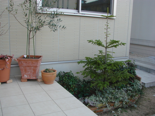 d0188499_23125096.jpg