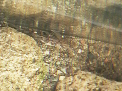 f0082402_19224599.jpg