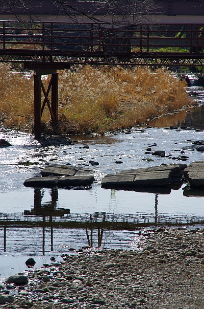 c0156908_051470.jpg