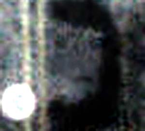 e0103408_15153845.jpg