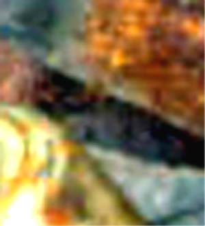 e0103408_1573874.jpg