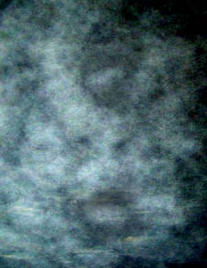 e0103408_1581143.jpg