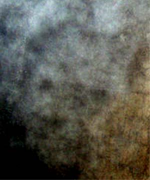 e0103408_1595953.jpg