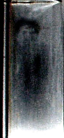 e0103408_2214274.jpg