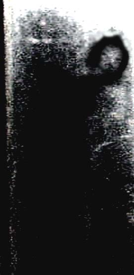 e0103408_2231710.jpg