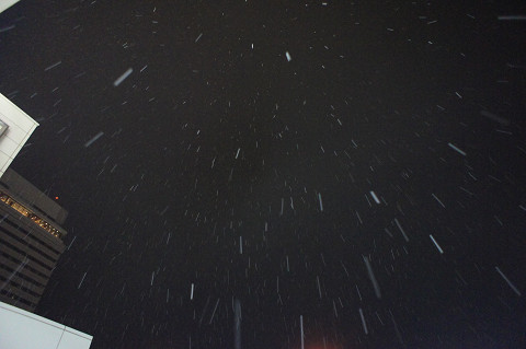 f0054610_9563286.jpg