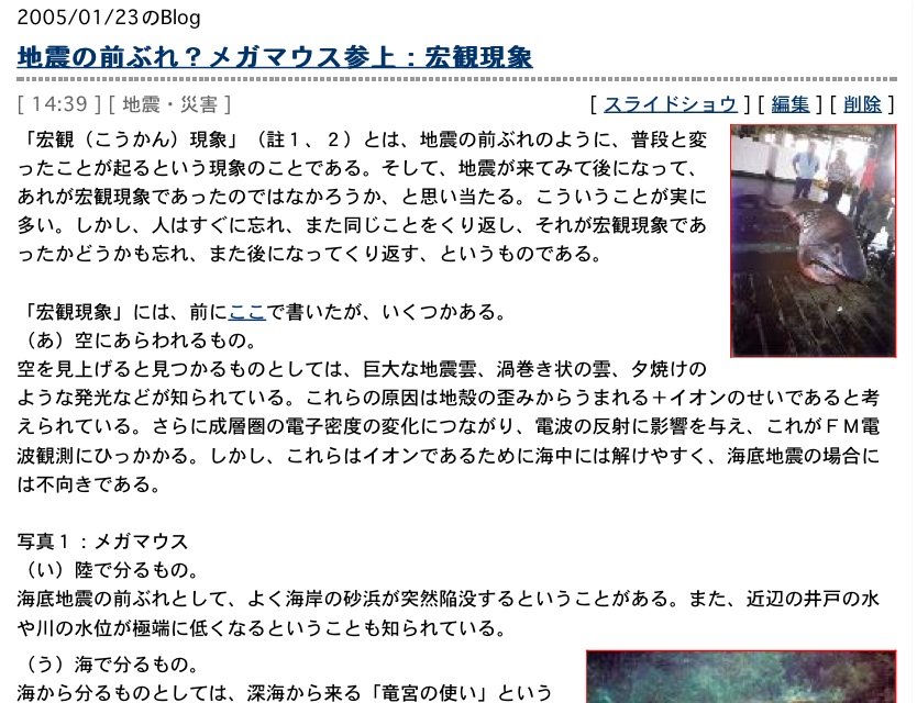 三重県尾鷲市九鬼町の沖合でメガマウス捕獲:大地震の前触れ?_e0171614_15453012.jpg