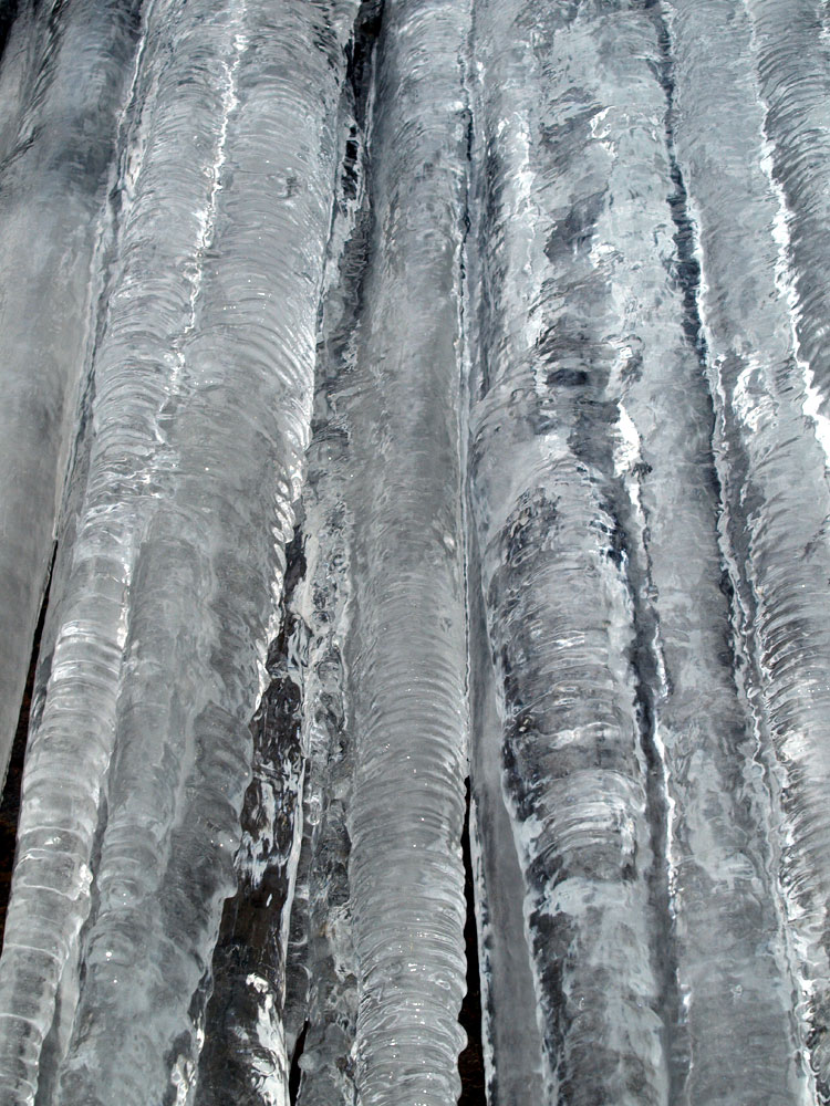 c0145418_16159.jpg