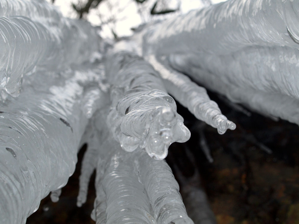 c0145418_161779.jpg