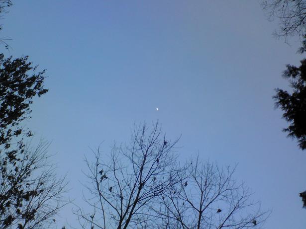 c0097620_16502634.jpg