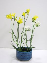 今年もたくさん勉強しましょ!_c0165824_11442617.jpg