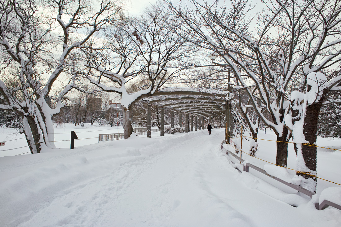 雪景色 中島公園の魅力 札幌市 しゃしん三昧 趣味カメラ レクサス 着物の日々