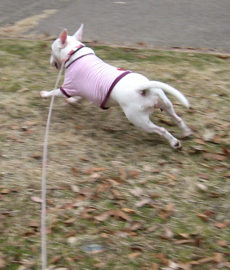 c0192330_12345125.jpg
