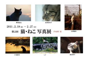 「第2回　猫・ねこ写真展」PART1、PART2_c0194541_8384772.jpg