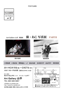 「第2回　猫・ねこ写真展」PART1、PART2_c0194541_8391165.jpg