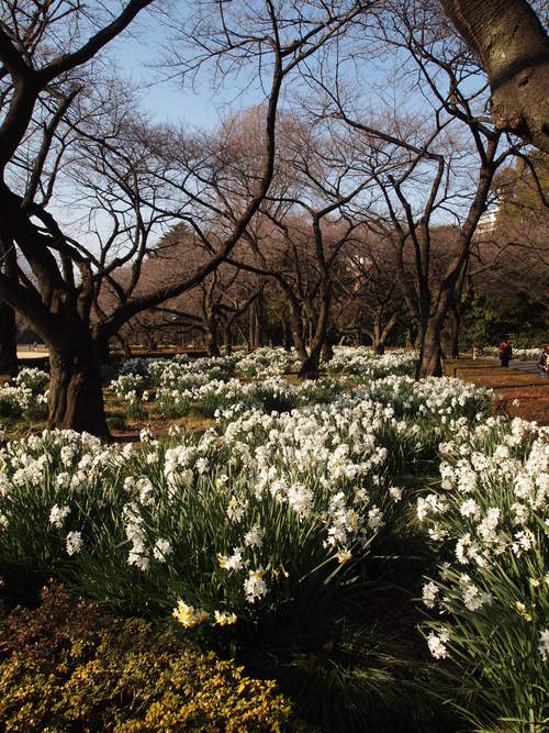 b0169343_019116.jpg