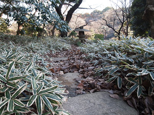 b0169343_0213599.jpg