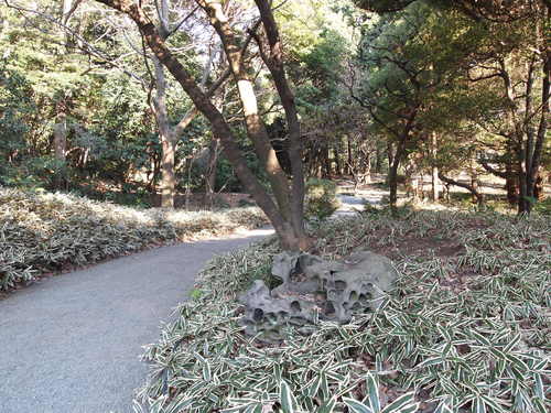 b0169343_021493.jpg
