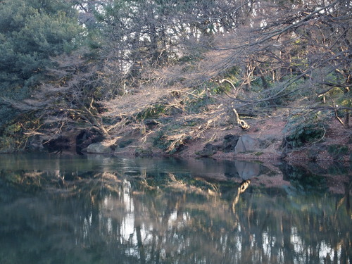 b0169343_027144.jpg