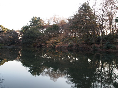 b0169343_0273694.jpg