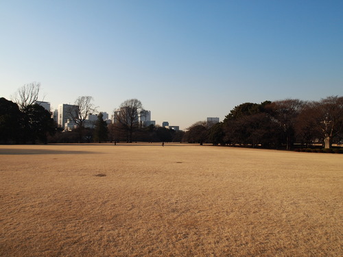 b0169343_0301349.jpg