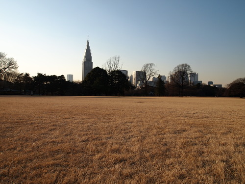 b0169343_10183849.jpg