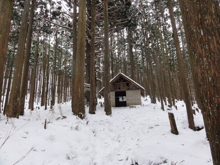 霧氷育つ高見山のエビの尻尾_a0122149_22202493.jpg