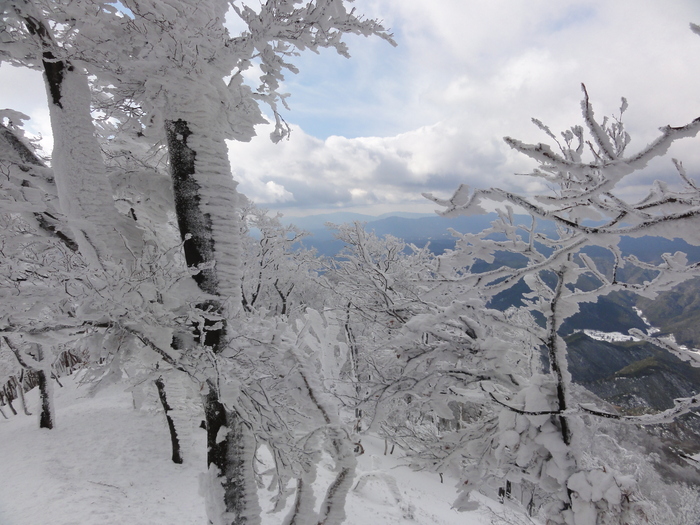 霧氷育つ高見山のエビの尻尾_a0122149_22593319.jpg