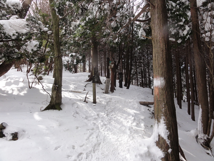 霧氷育つ高見山のエビの尻尾_a0122149_2384893.jpg