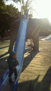f0184253_0173325.jpg