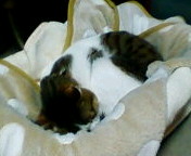 c0052756_054291.jpg