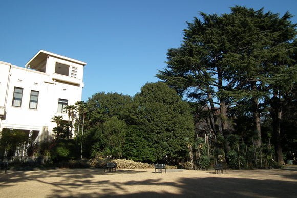 e0064158_23551023.jpg